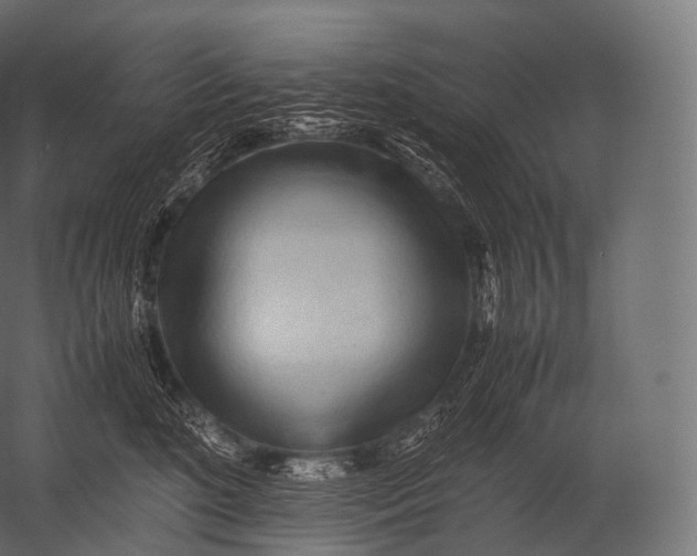 X0000052950520200507300048