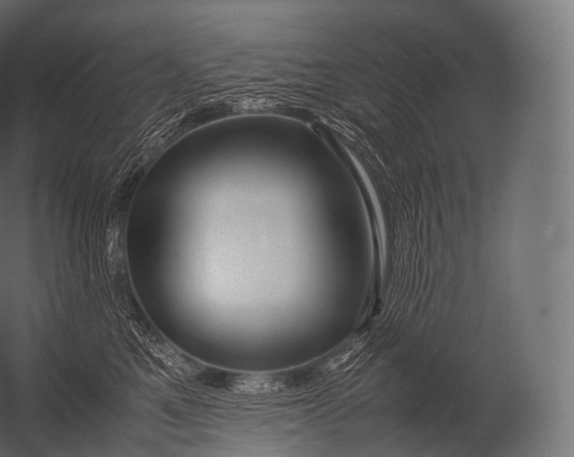 X0000052950521200507300048