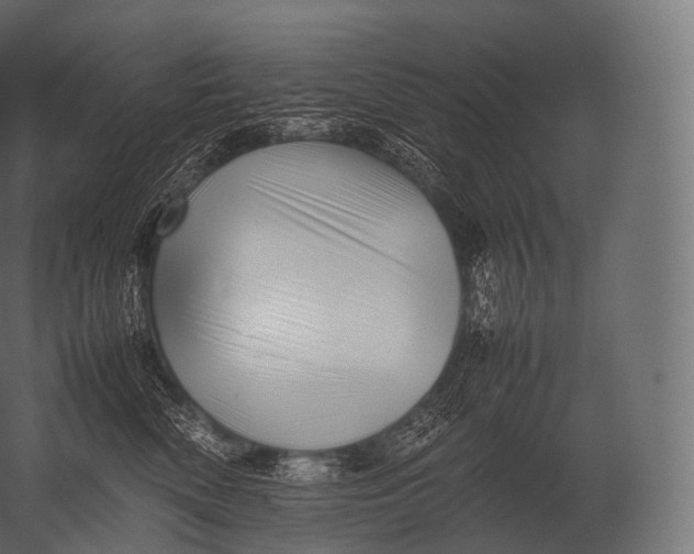 X0000052950522200507300048