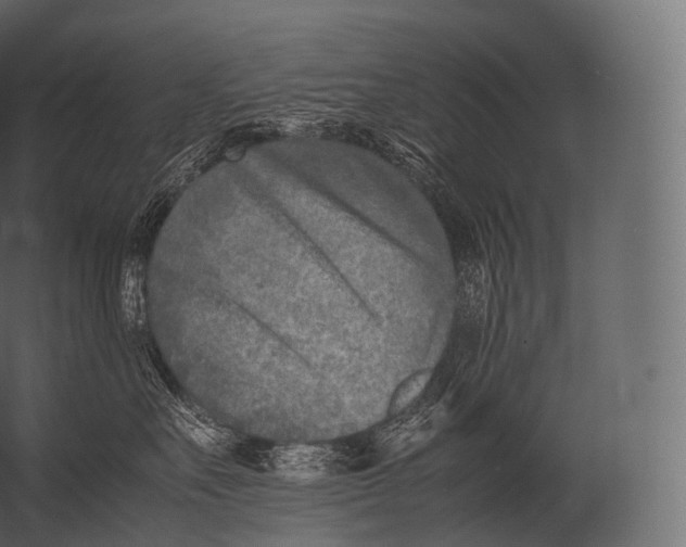 X0000052950527200507300048