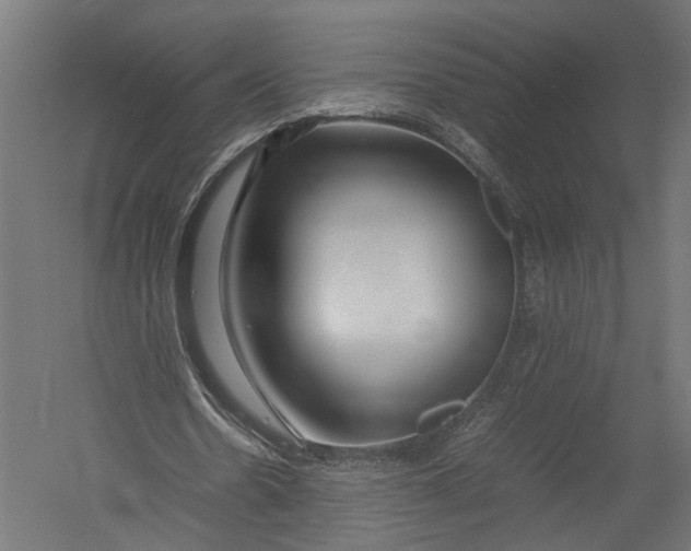 X0000052950530200507300047