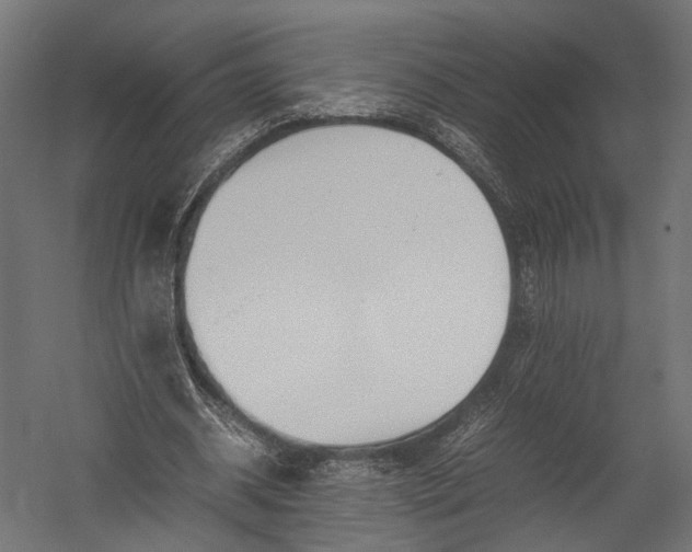 X0000052950534200507300047