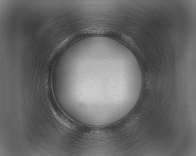 X0000052950538200507300048