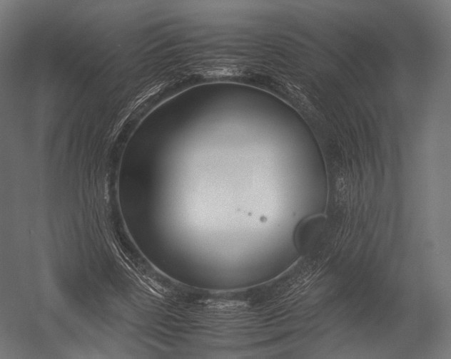 X0000052950539200507300048