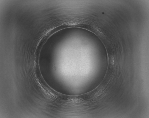 X0000052950540200507300048