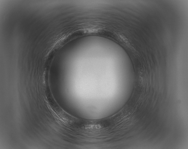 X0000052950543200507300048