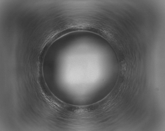 X0000052950544200507300048