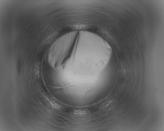 X0000052950545200507300048