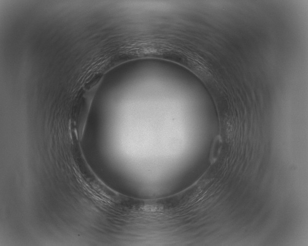 X0000052950546200507300048
