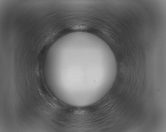 X0000052950547200507300048