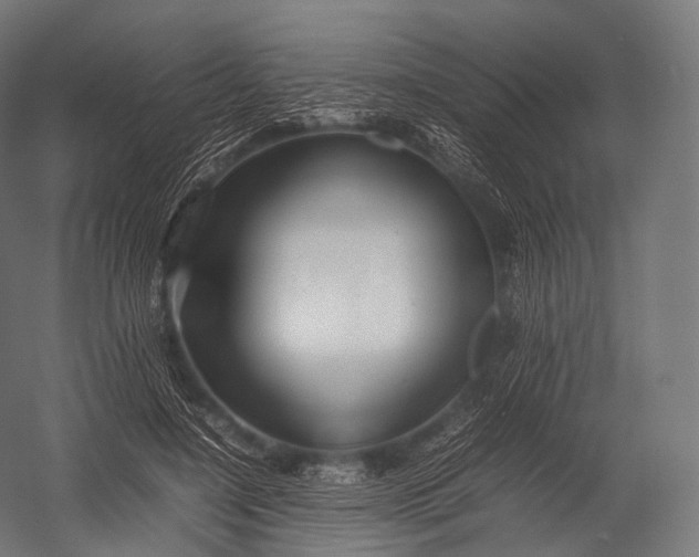 X0000052950548200507300048