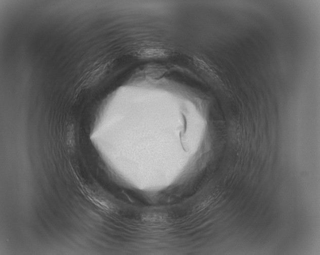 X0000052950549200507300048