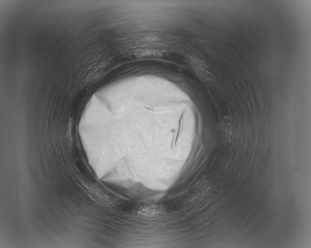 X0000052950550200507300048