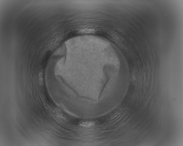X0000052950551200507300048