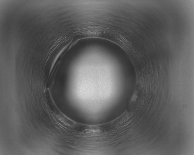 X0000052950552200507300048