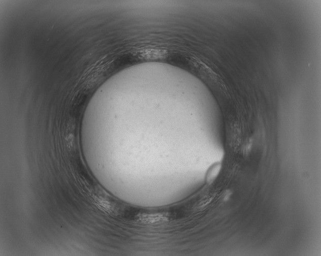 X0000052950553200507300048