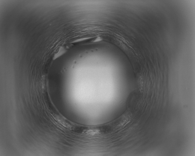 X0000052950554200507300048