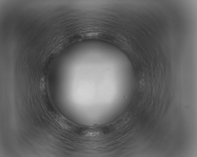 X0000052950555200507300048