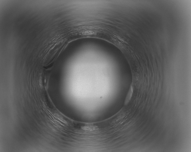 X0000052950556200507300048