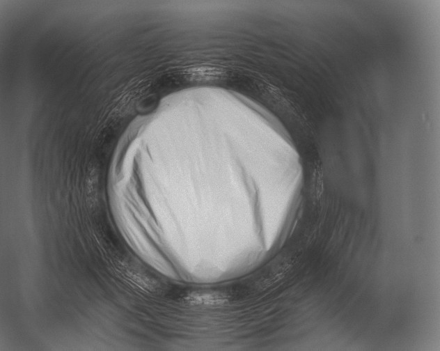 X0000052950557200507300048