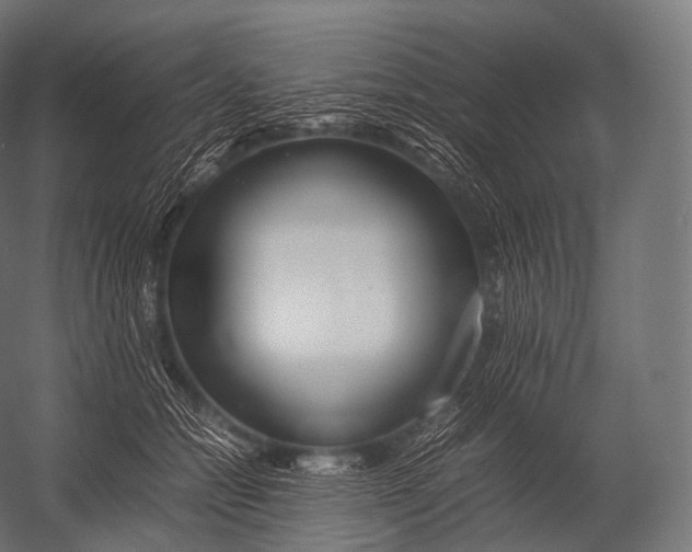 X0000052950558200507300048