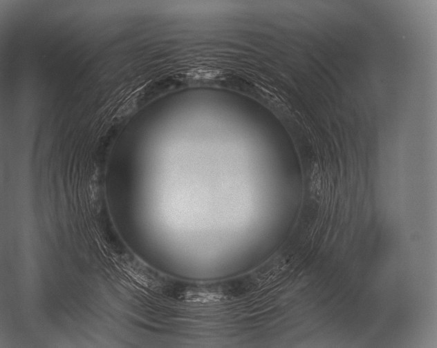 X0000052950559200507300048