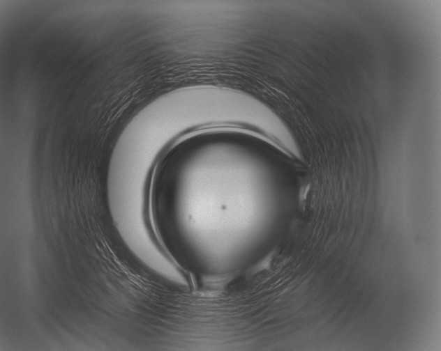 X0000052950560200507300048
