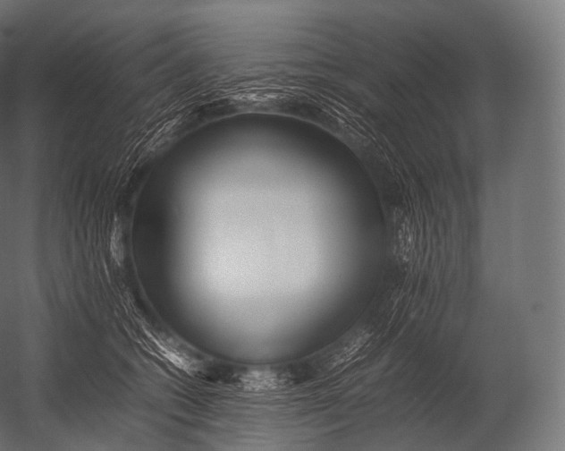 X0000052950562200507300048