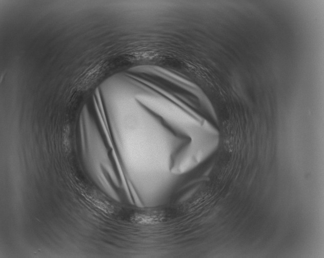 X0000052950563200507300048