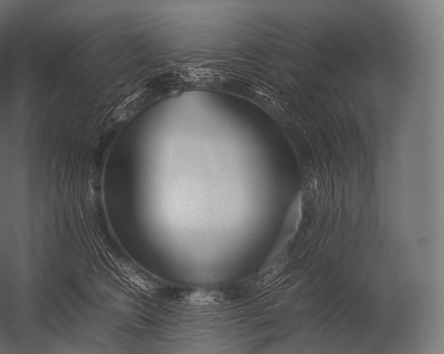 X0000052950566200507300048
