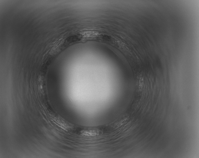 X0000052950567200507300048