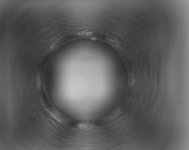 X0000052950568200507300048