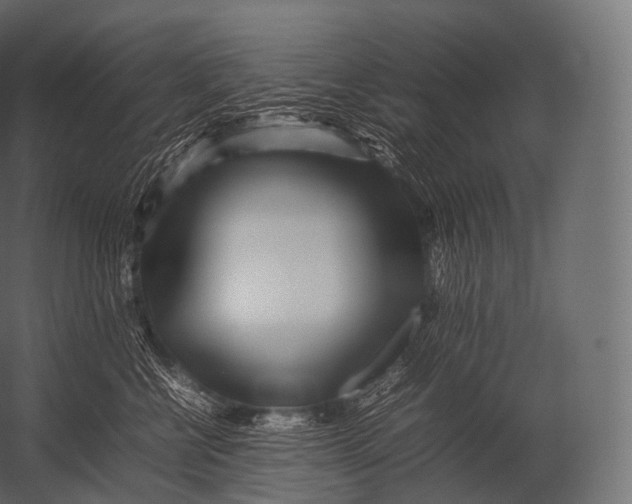 X0000052950570200507300048
