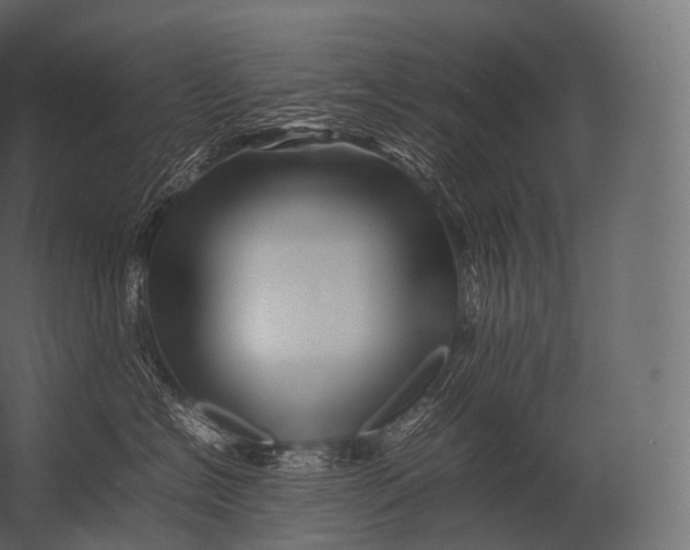 X0000052950574200507300048