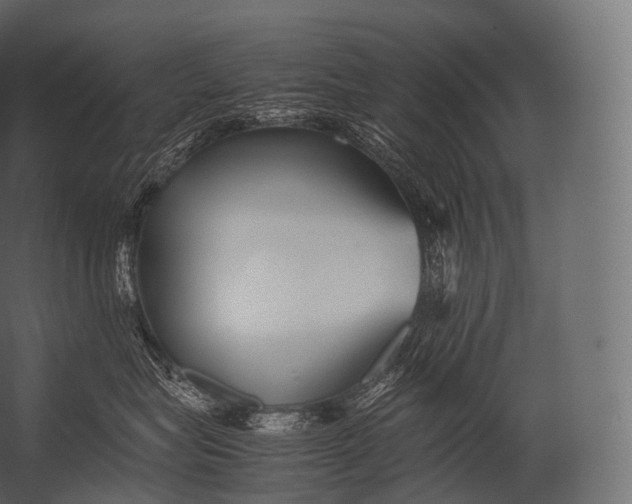 X0000052950575200507300048