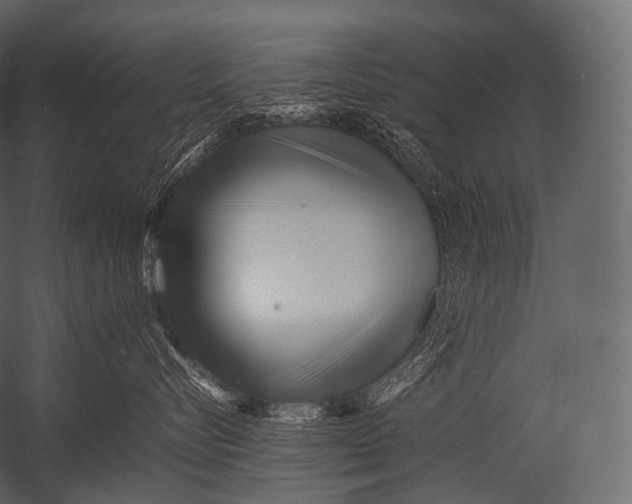 X0000052950576200507300048