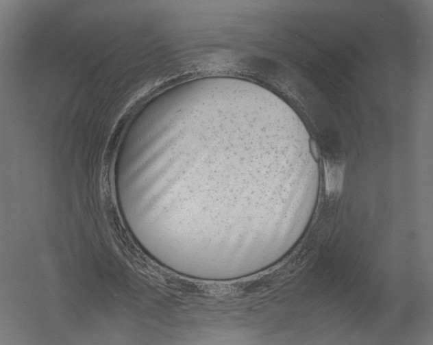X0000052950579200507300047
