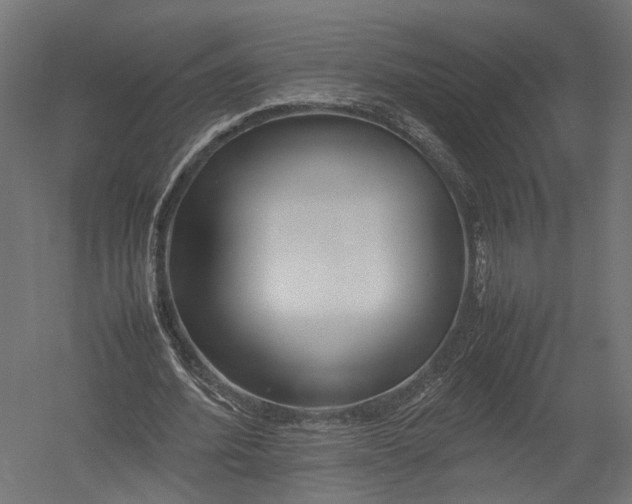 X0000052950580200507300047