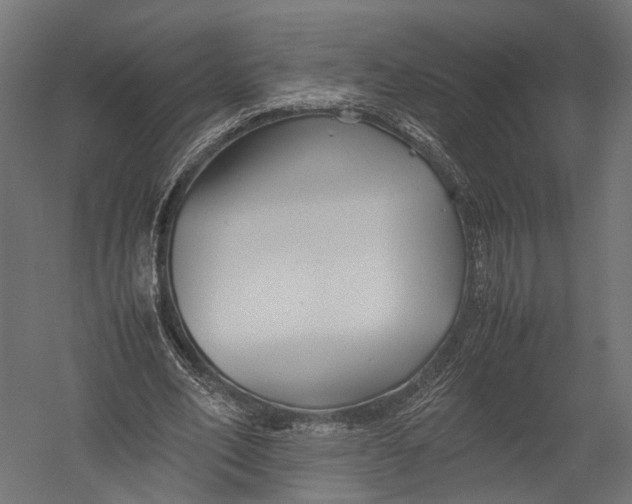 X0000052950582200507300047