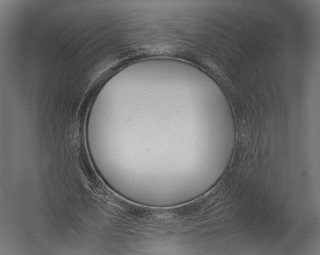 X0000052950583200507300047