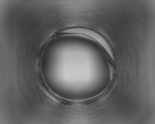 X0000052950585200507300047