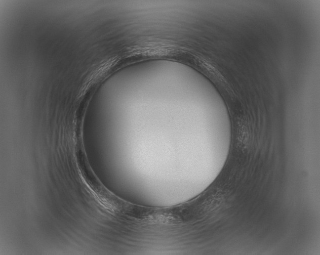 X0000052950586200507300047