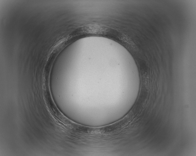 X0000052950587200507300047