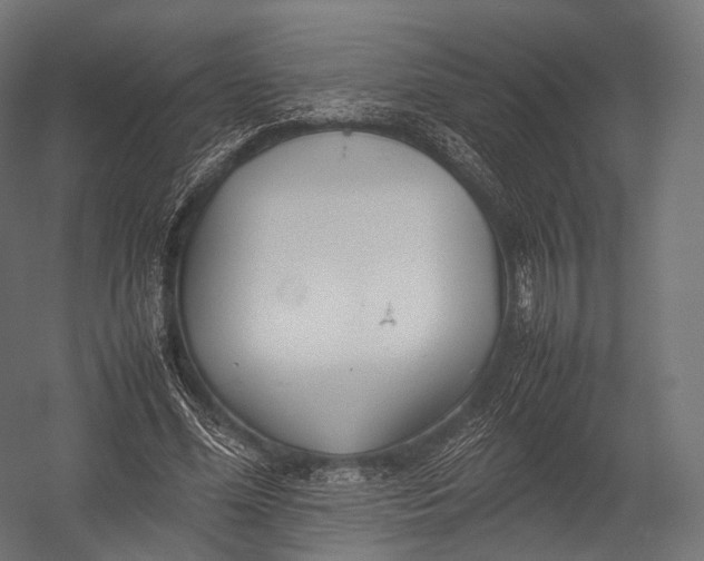 X0000052950588200507300047