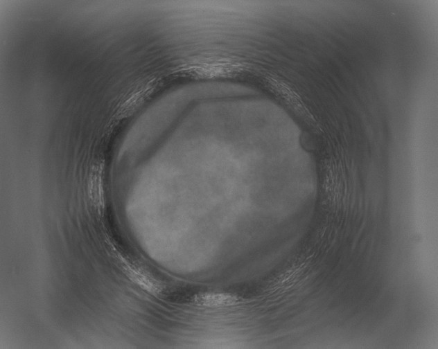 X0000052950590200507300047