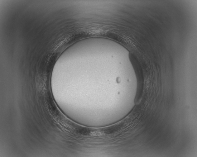 X0000052950591200507300047