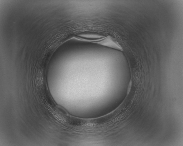 X0000052950593200507300047