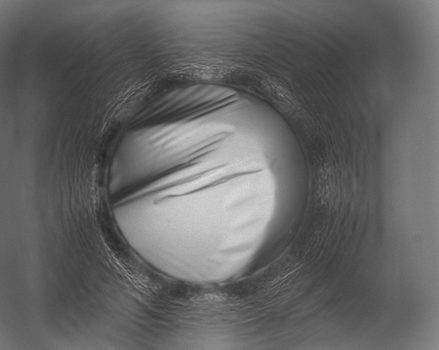 X0000052950594200507300047