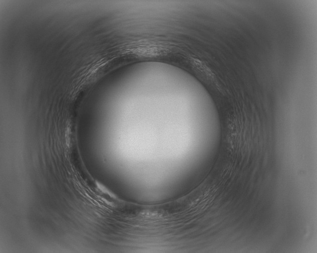 X0000052950596200507300047