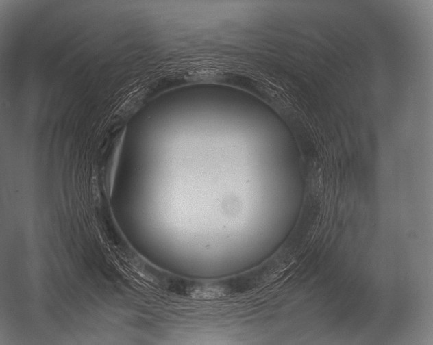 X0000052950599200507300047